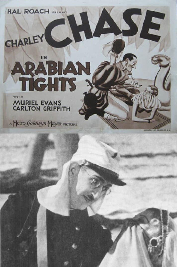 Arabian Tights poster