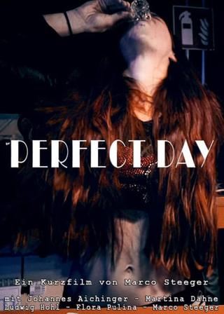 Perfect Day poster