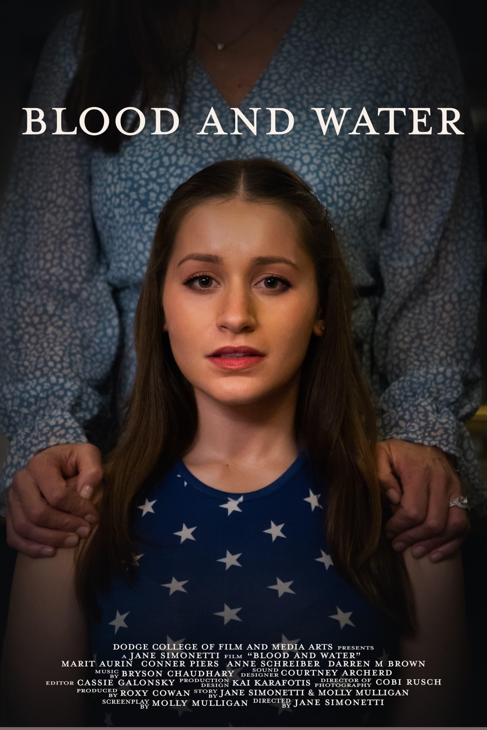 Blood and Water poster