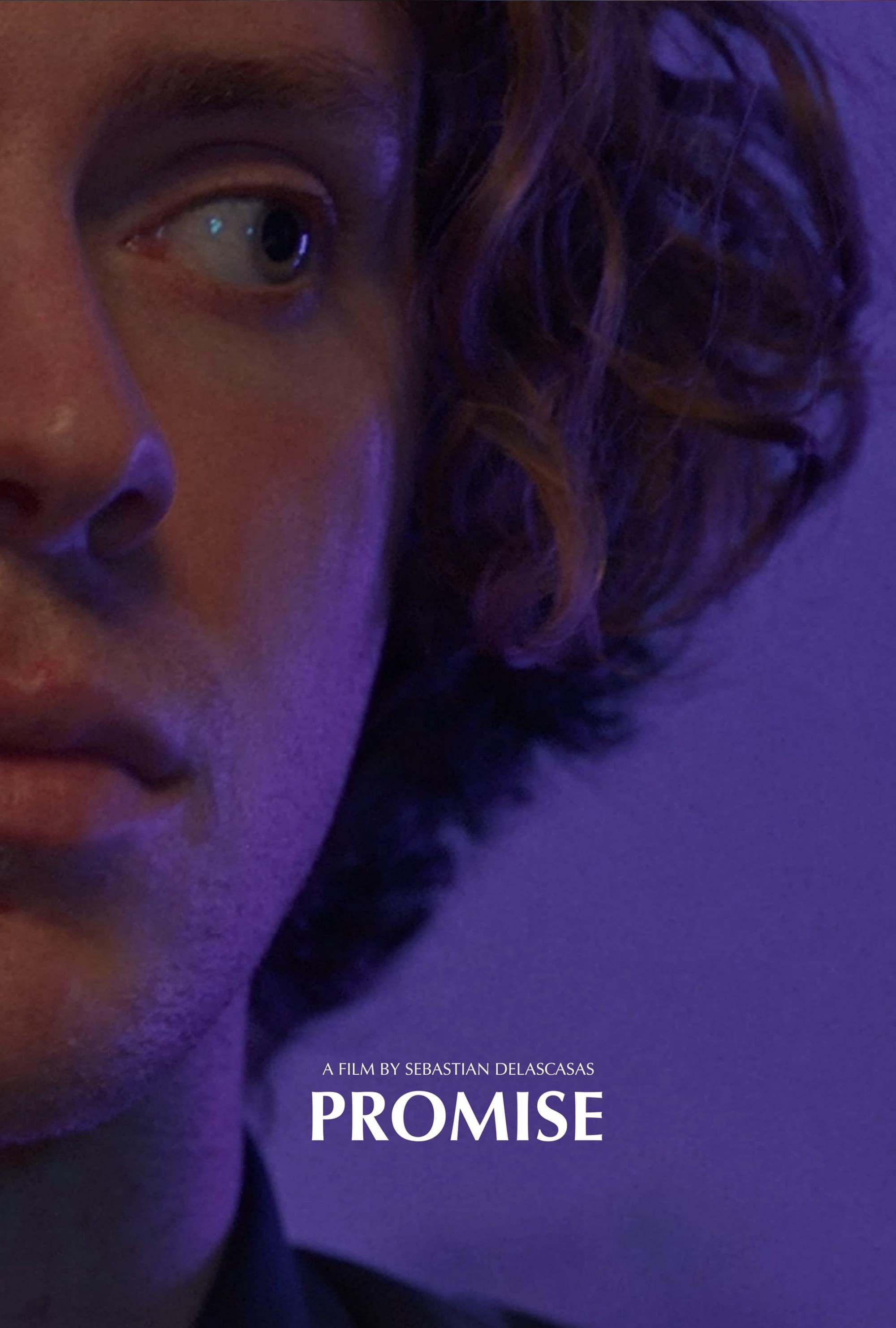 Promise poster