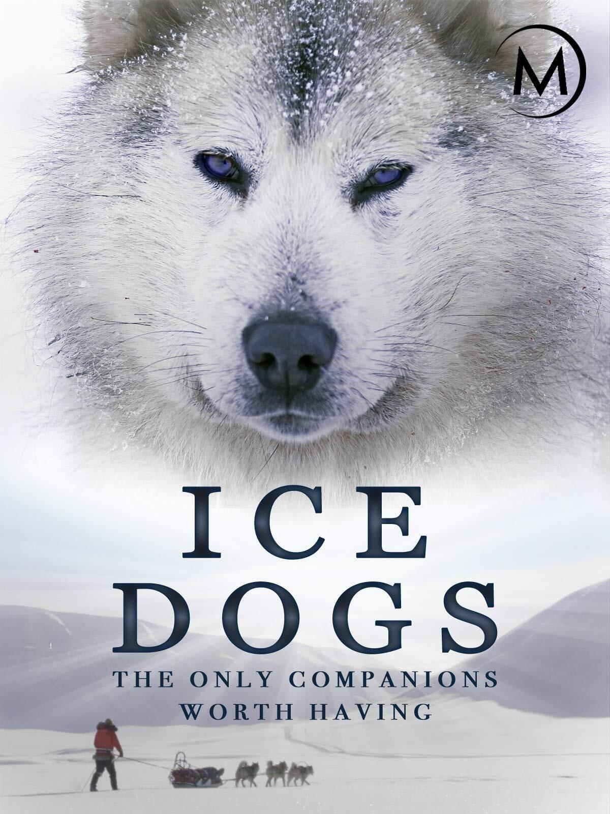 Ice Dogs: The Only Companions Worth Having poster