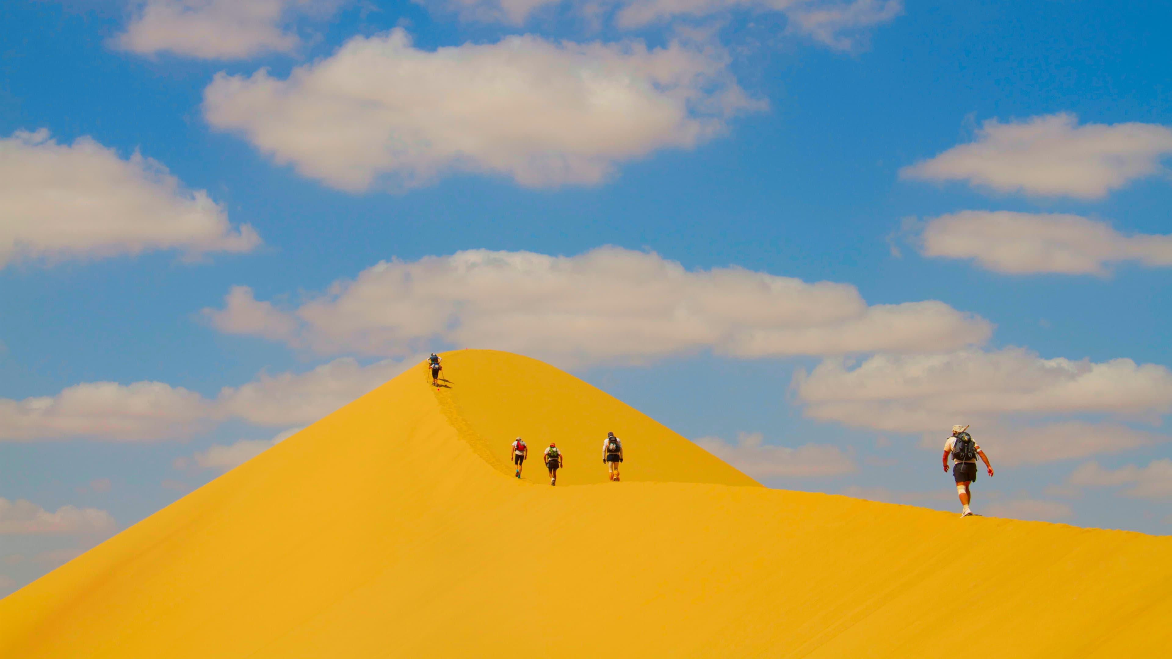 Desert Runners backdrop