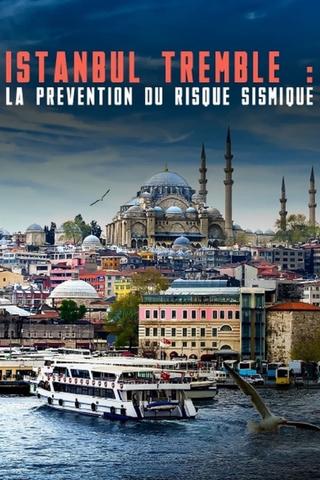 Istanbul tremble : La prévention du risque sismique poster