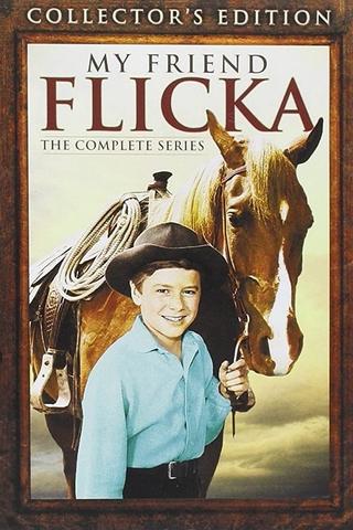 My Friend Flicka poster