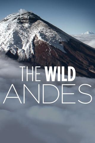 The Wild Andes poster