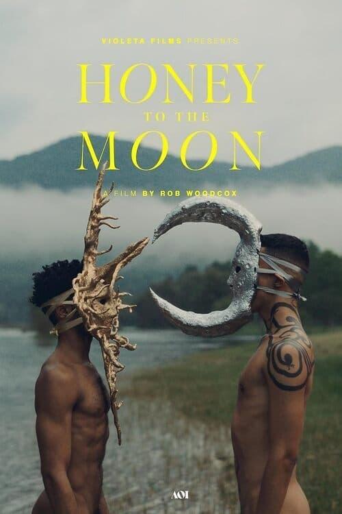 Honey to the Moon poster