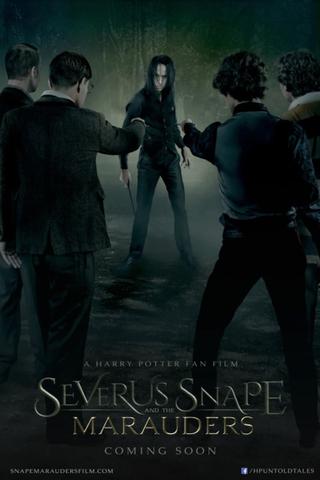 Severus Snape and the Marauders poster