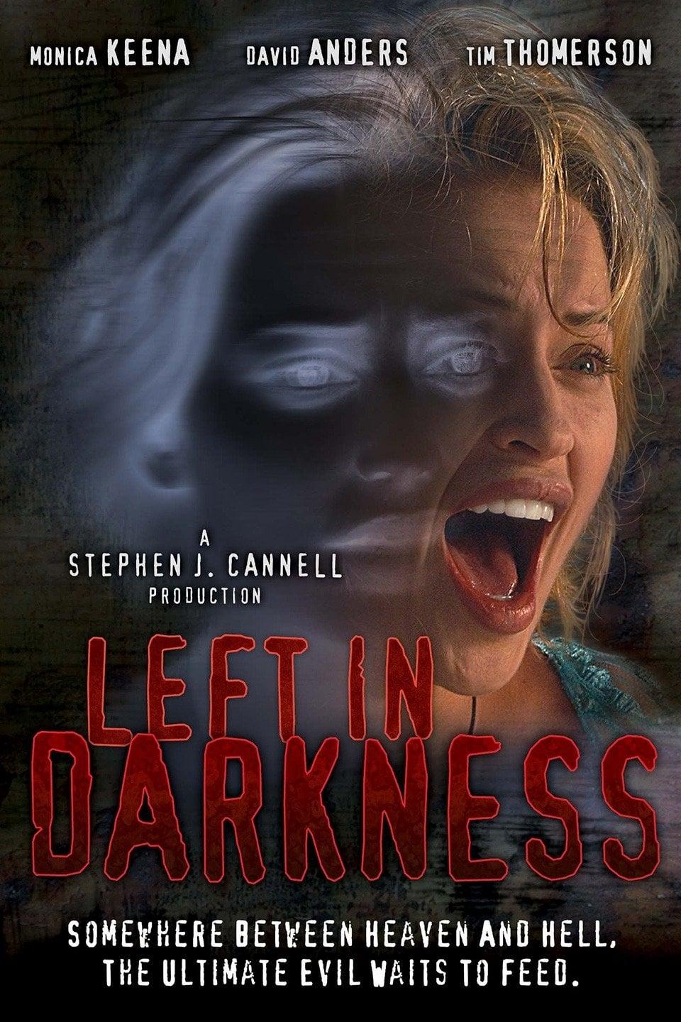 Left In Darkness poster