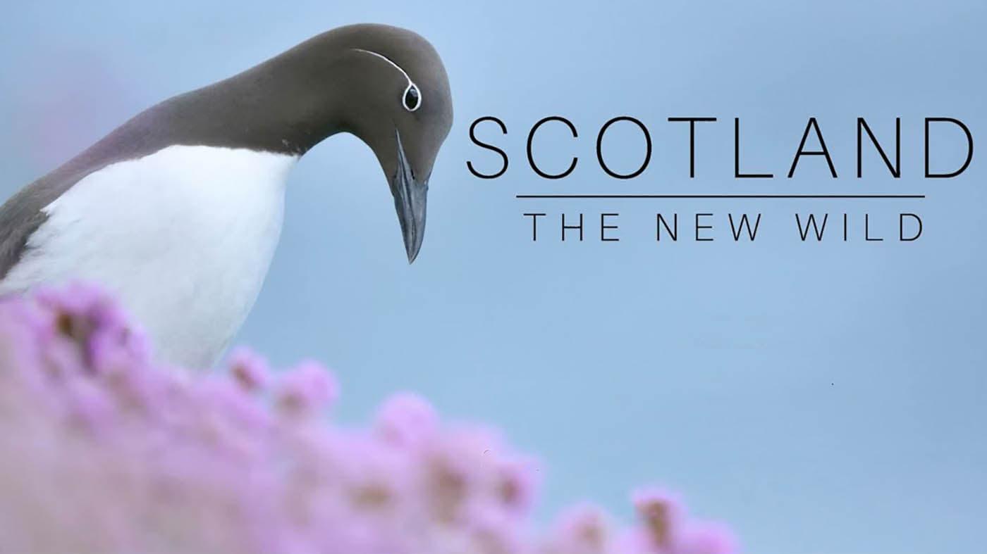 Scotland: The New Wild backdrop