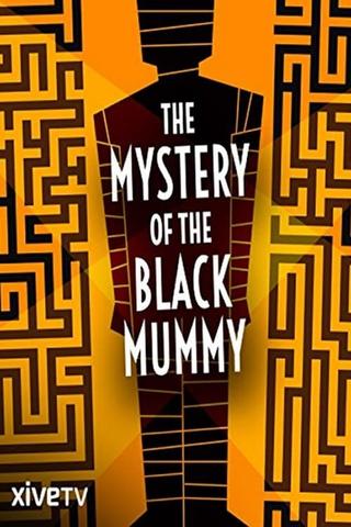 The Mystery of the Black Mummy poster