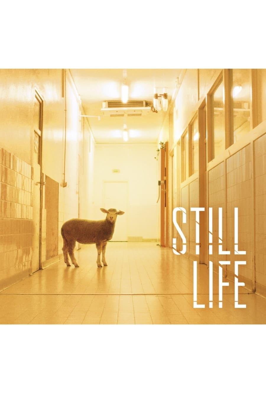 Still Life poster