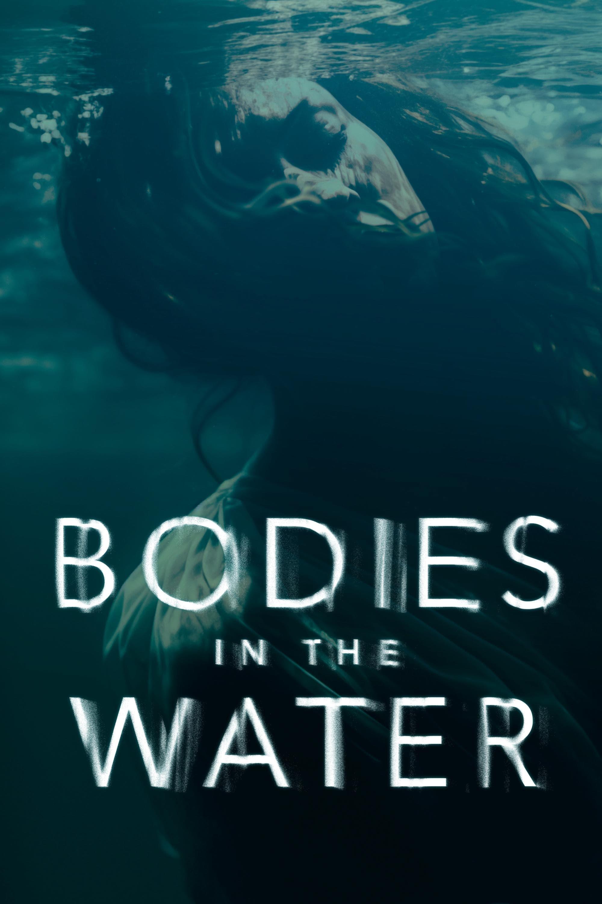 Bodies in the Water poster