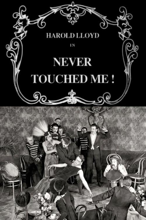 Never Touched Me poster