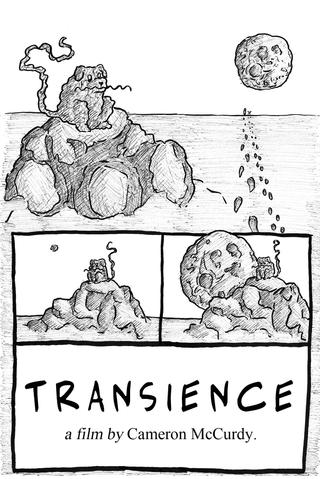 Transience poster