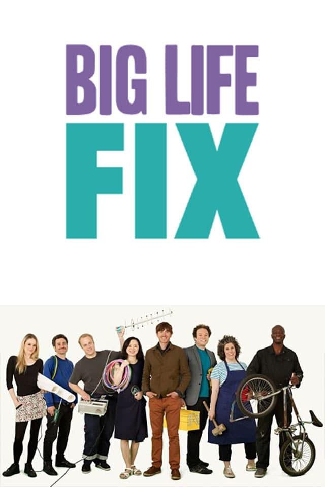 The Big Life Fix poster