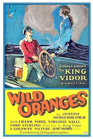 Wild Oranges poster