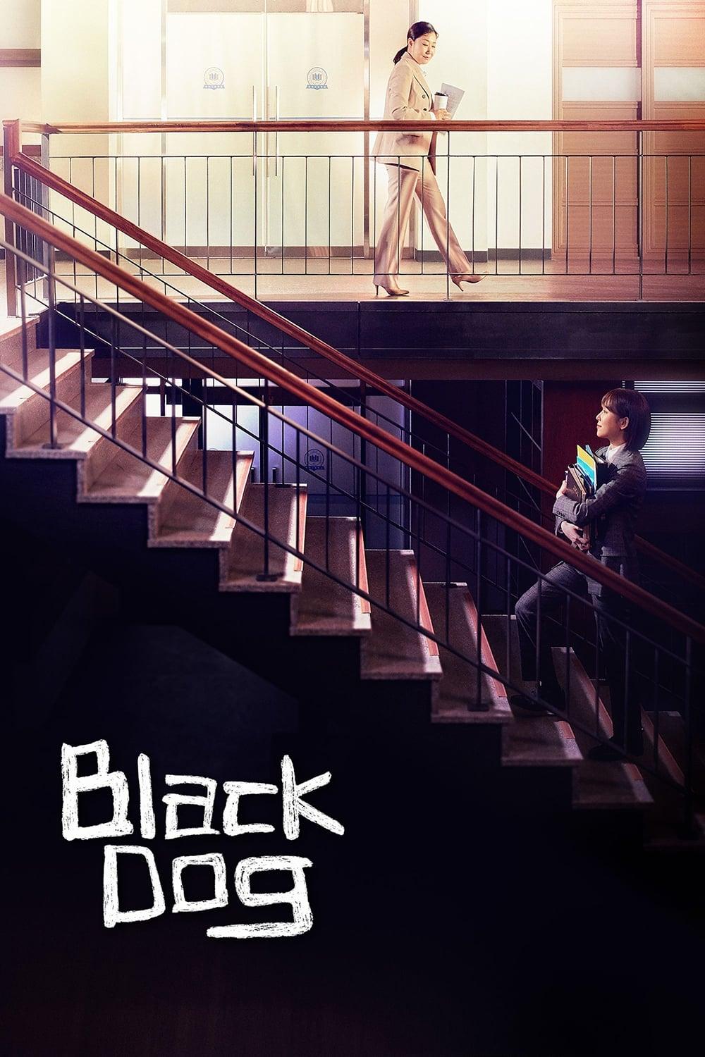 Black Dog poster