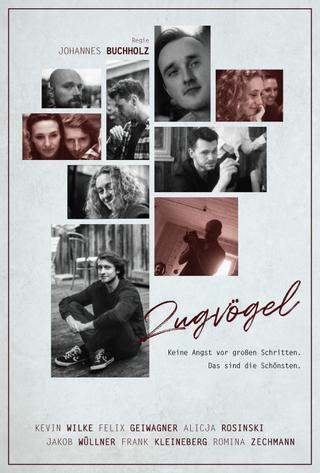 Zugvögel poster