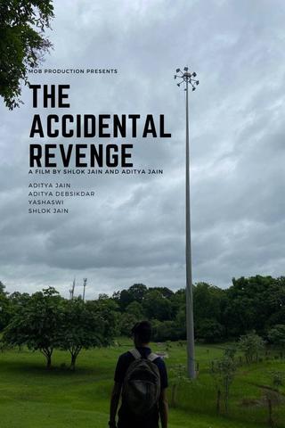 The Accidental Revenge poster