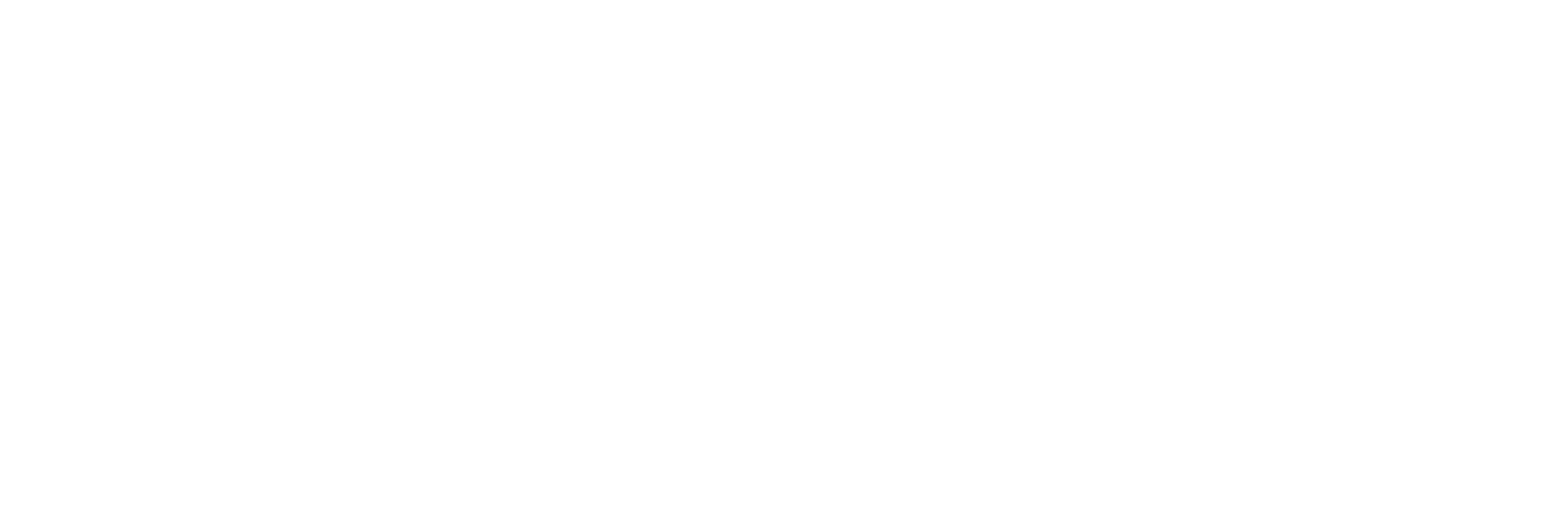 WWII: The Long Road Home logo