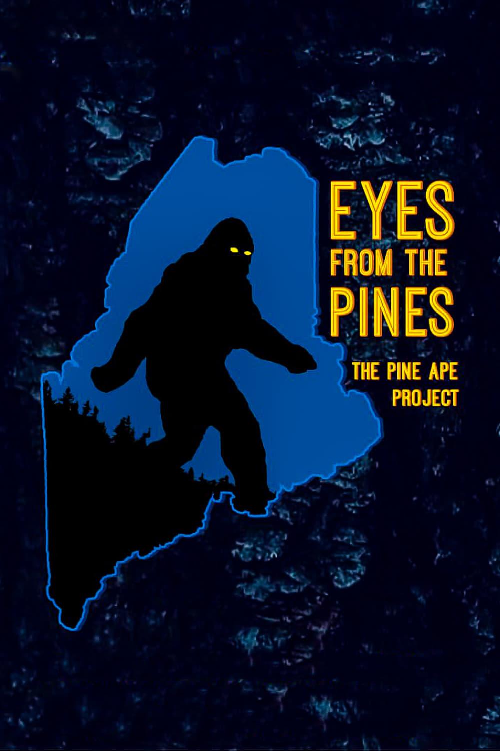 Eyes from the Pines poster