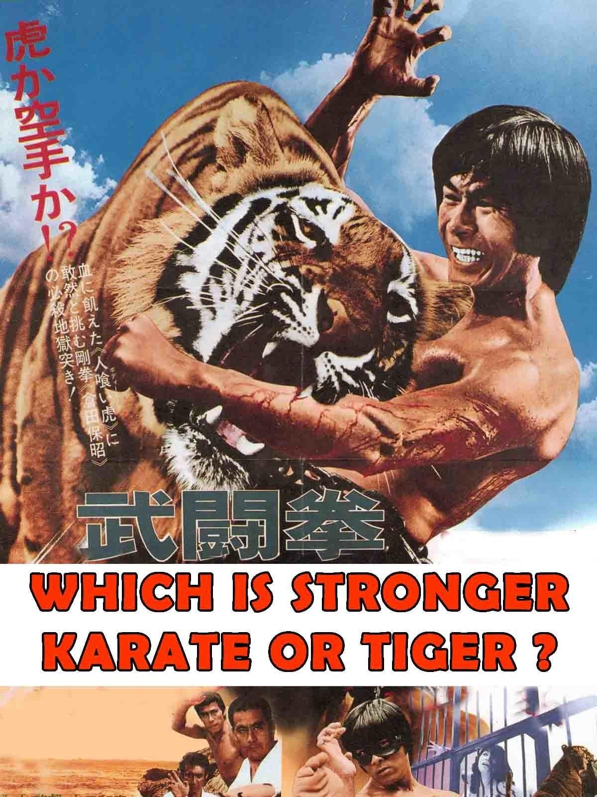 Which Is Stronger, Karate or the Tiger? poster