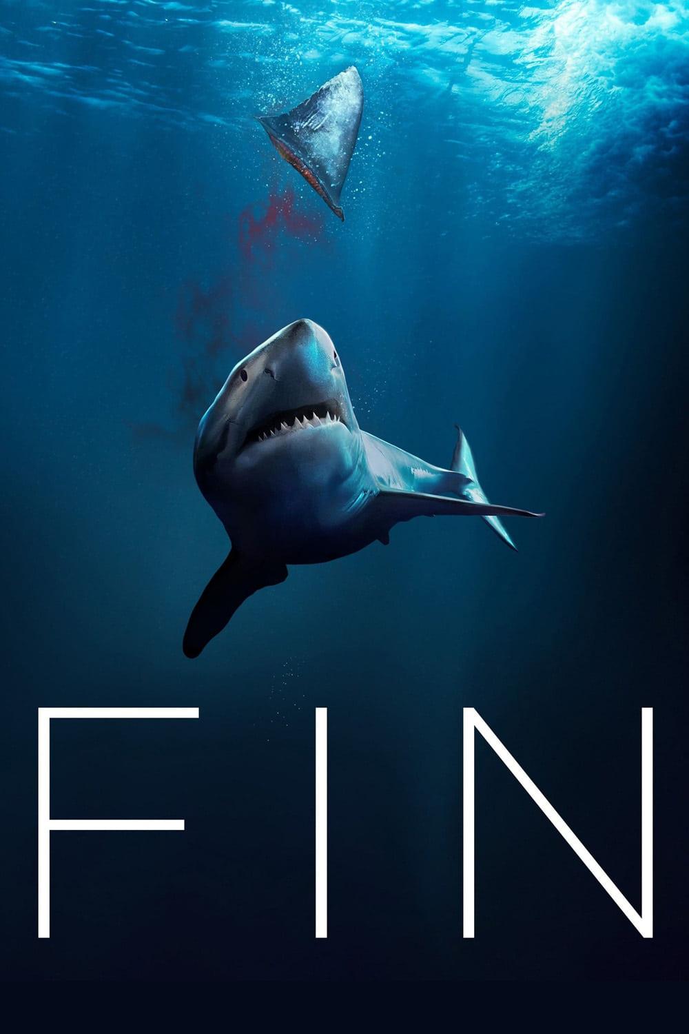 Fin poster