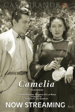 Camelia poster