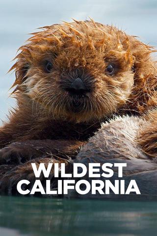 Wildest California poster