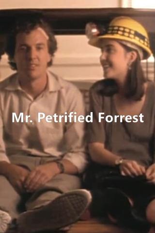 Mr. Petrified Forrest poster
