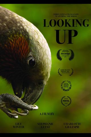 Looking Up poster