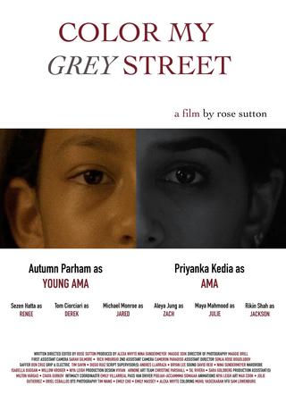 Color My Grey Street poster