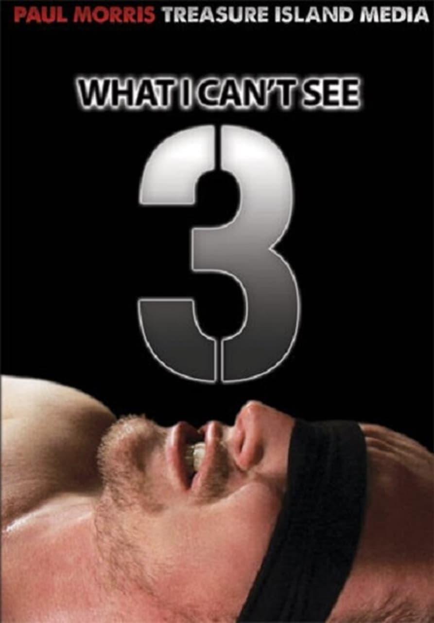 What I Can't See 3 poster