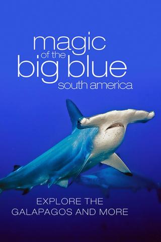 The Magic of the Big Blue poster