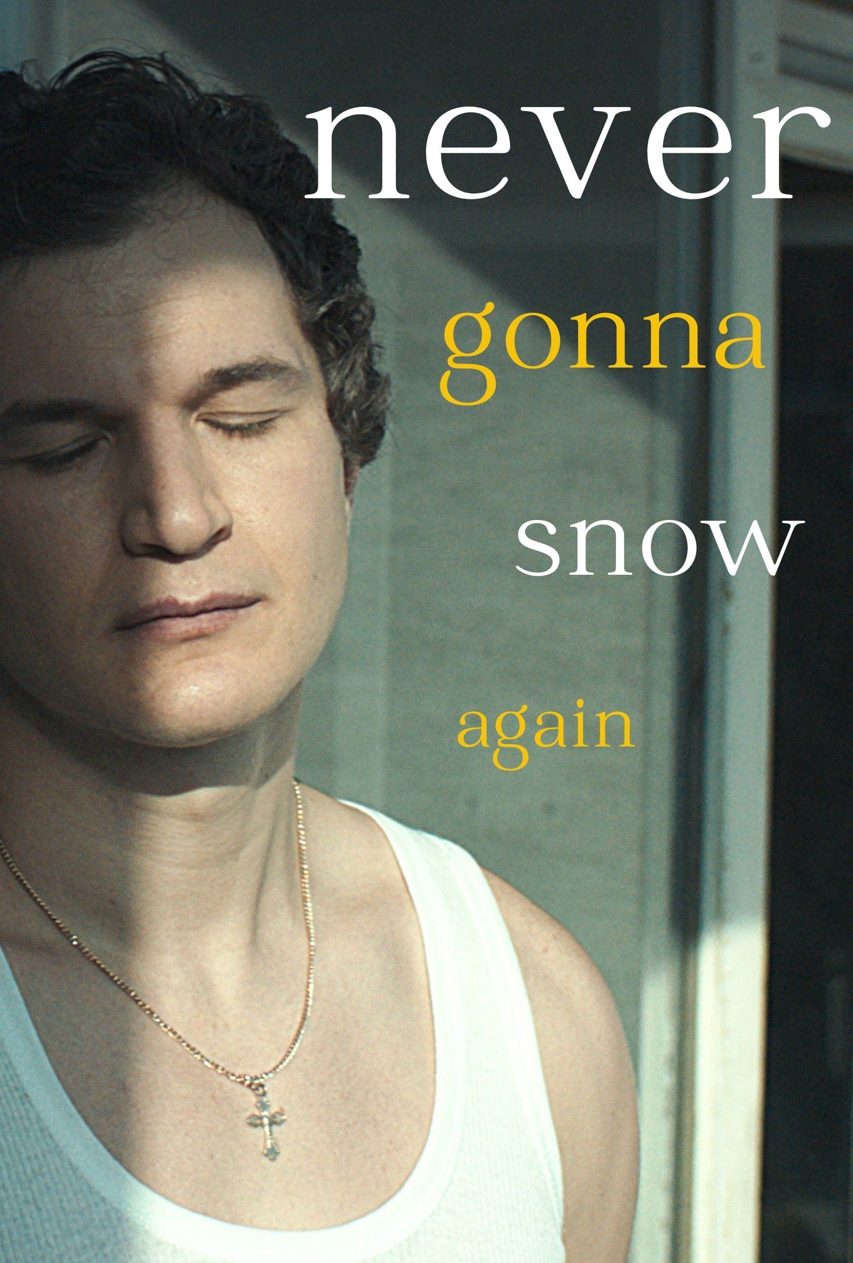 Never Gonna Snow Again poster