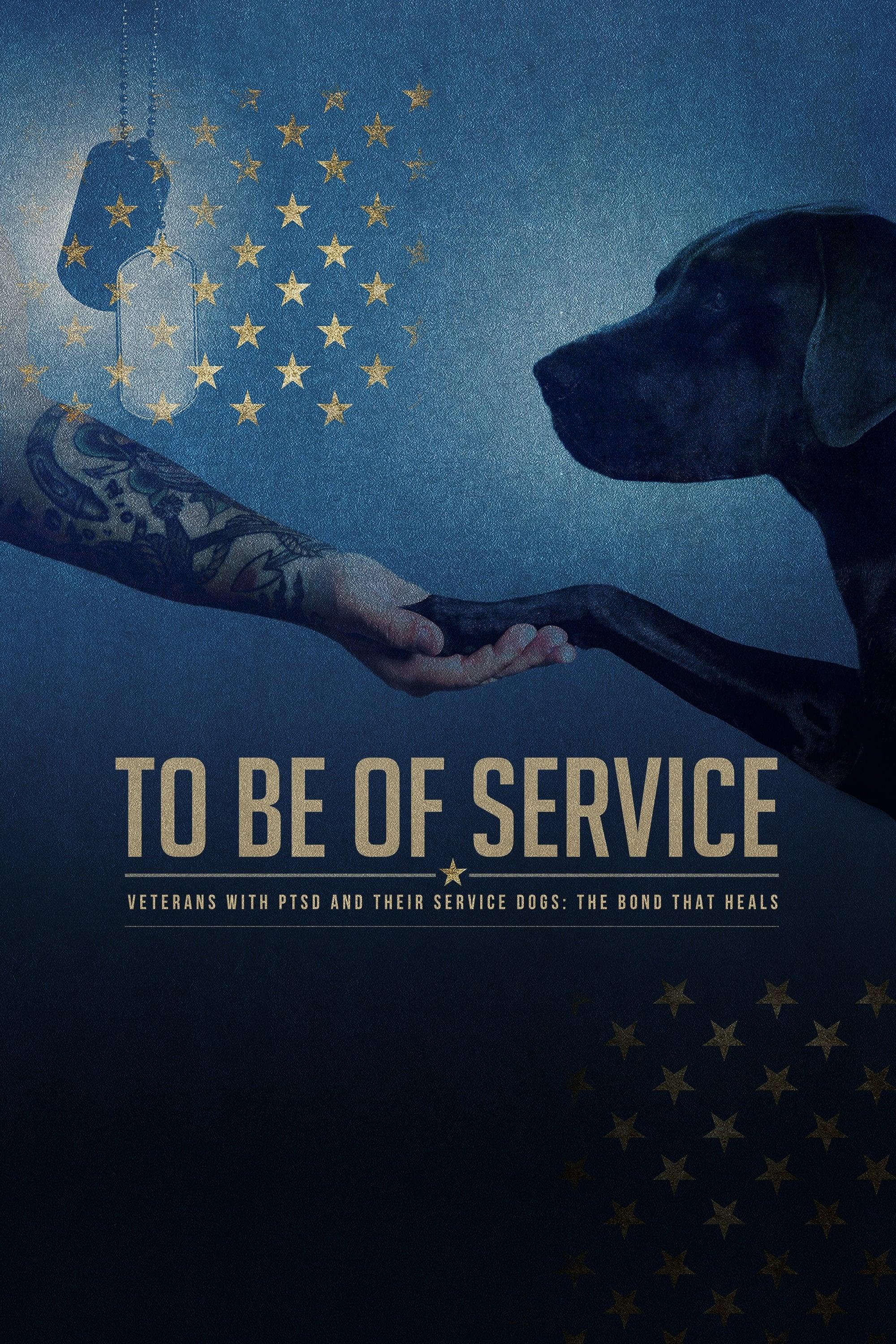 To Be of Service poster