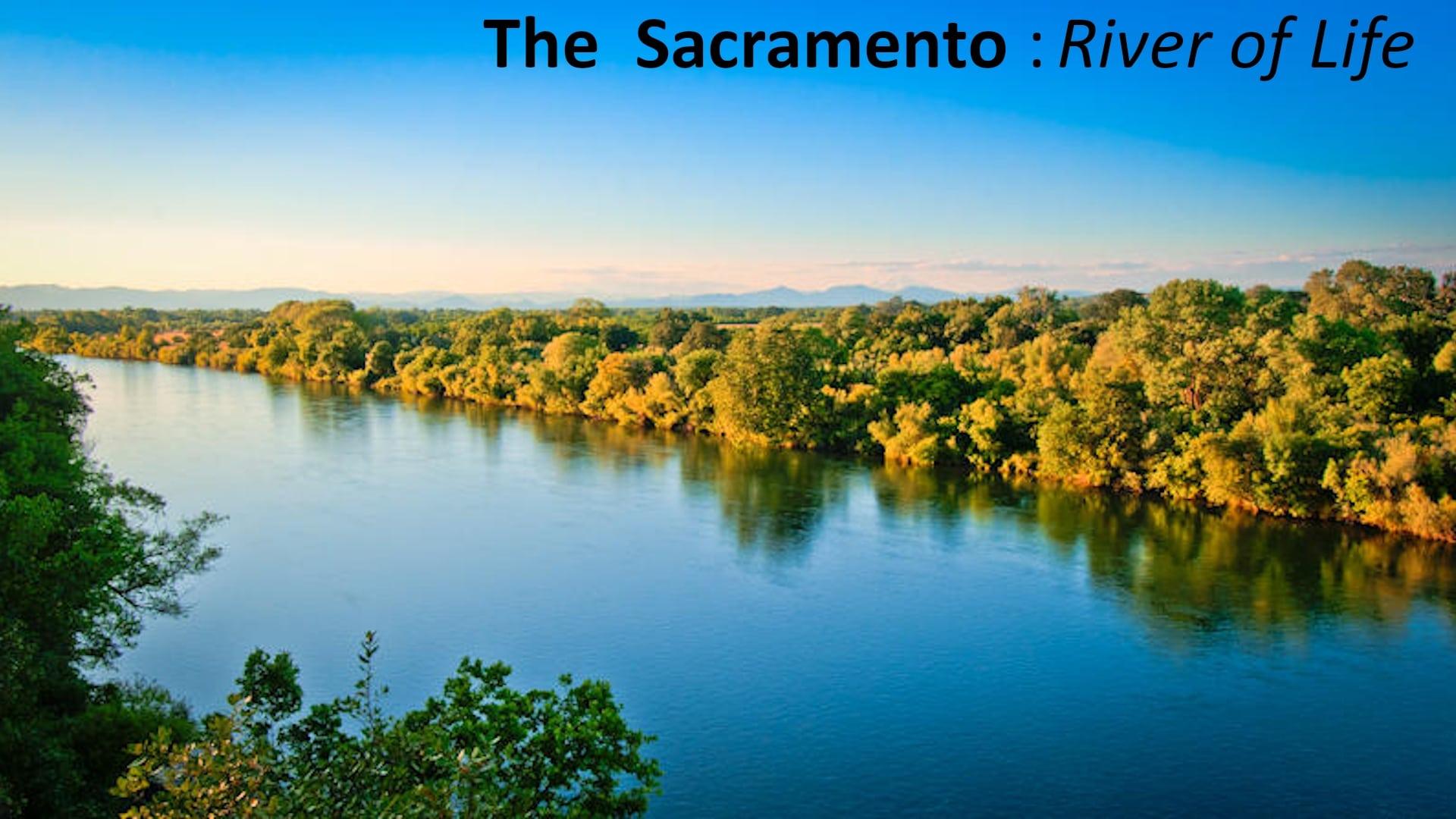The Sacramento River of Life backdrop