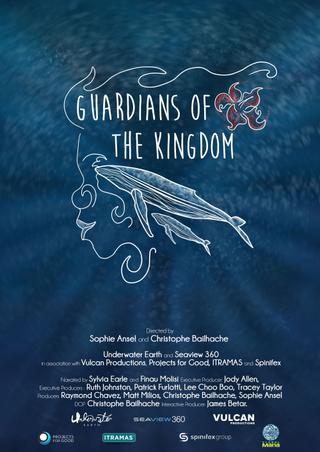 Guardians of the Kingdom poster