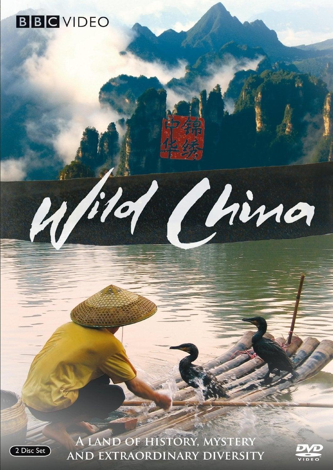 Wild China poster