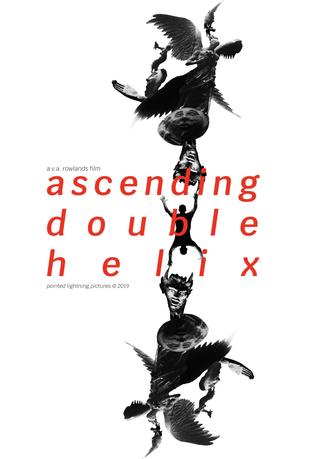 Ascending Double Helix poster