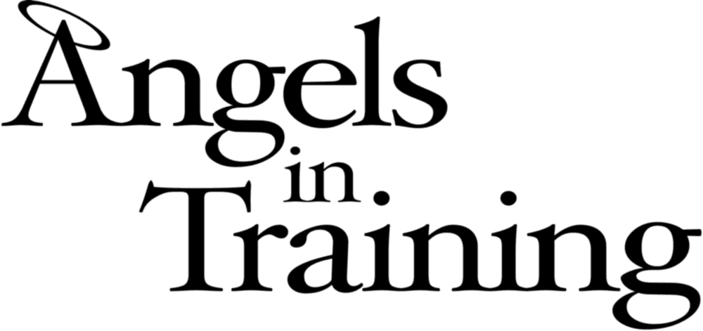 Angel in Training logo