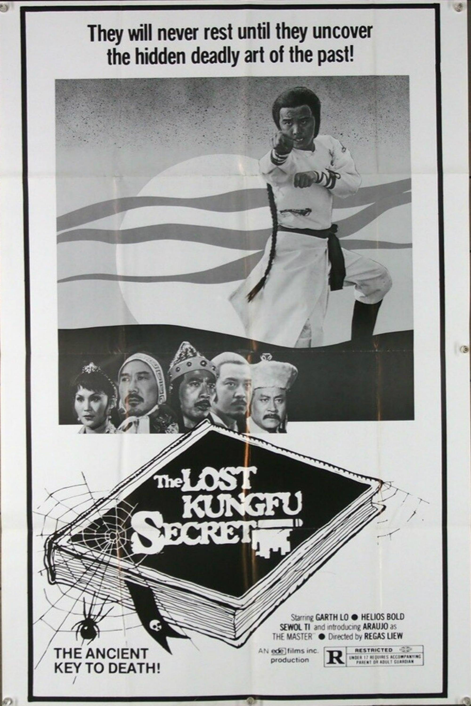 The Lost Kung Fu Secrets poster