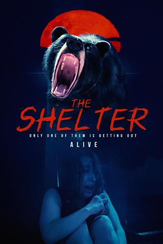 The Shelter poster