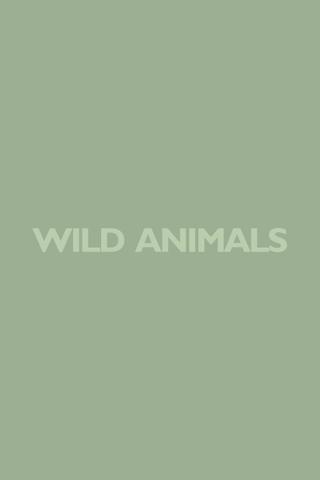 Wild Animals poster