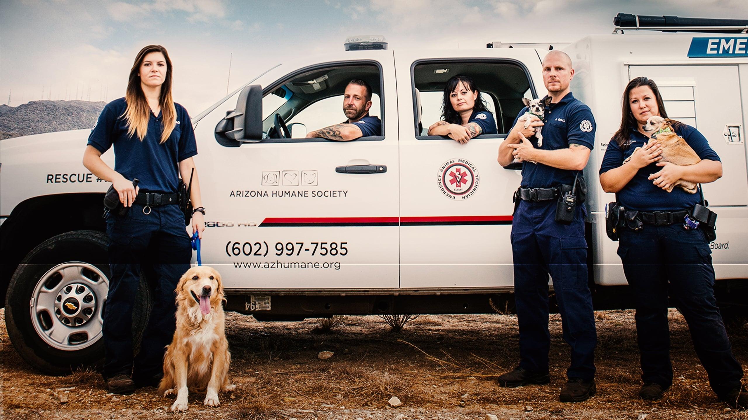 Animal Cops: Phoenix backdrop