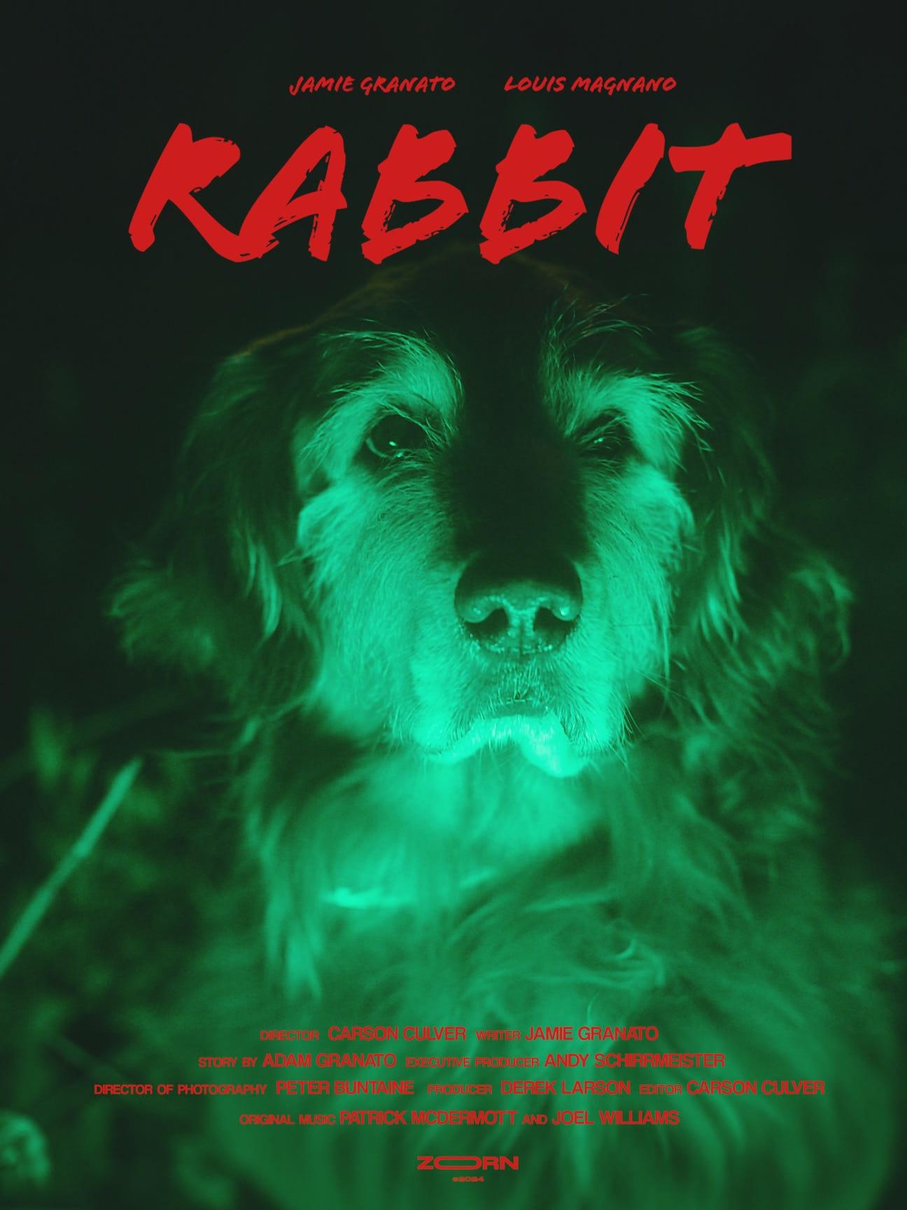 Rabbit poster