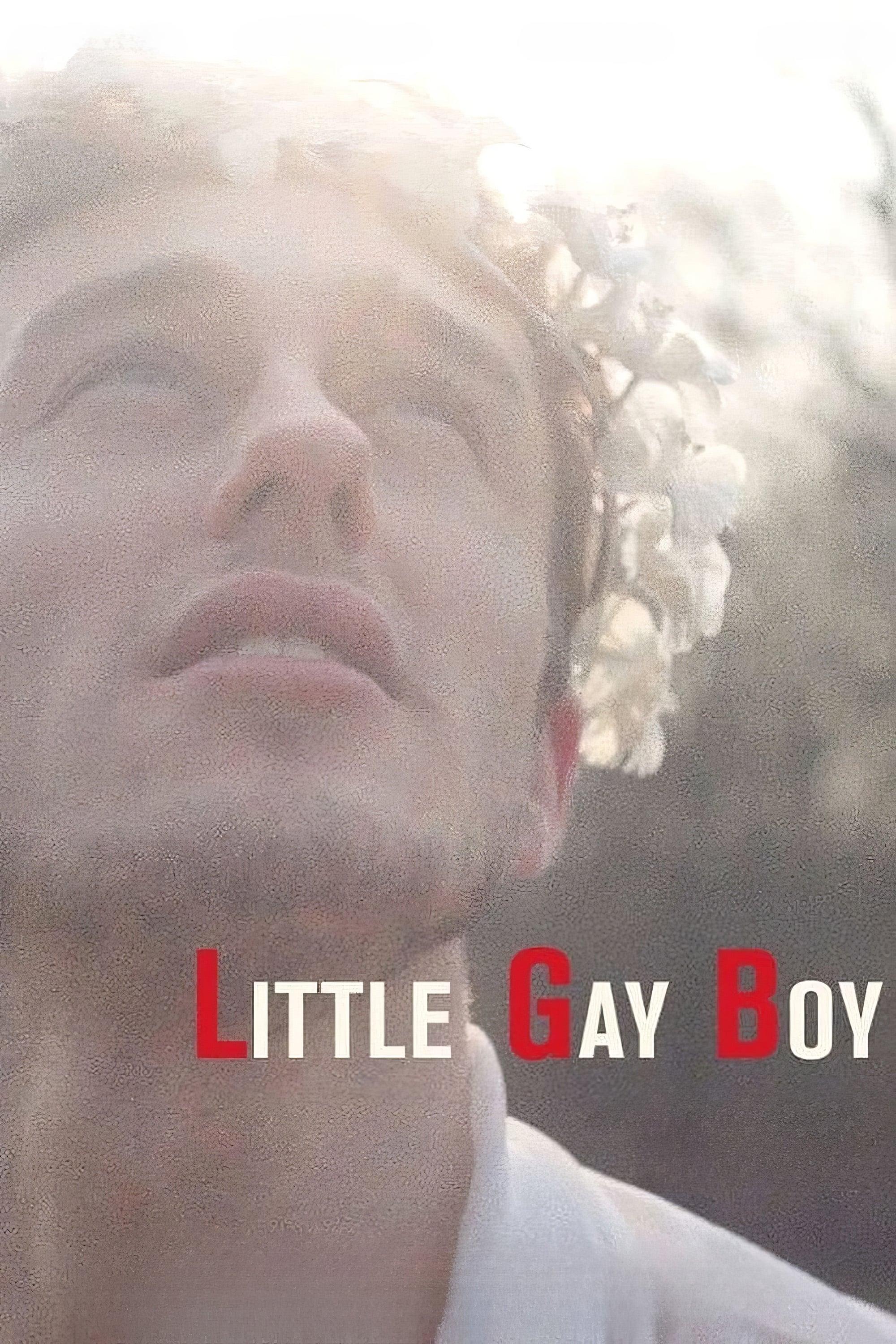 Little Gay Boy poster