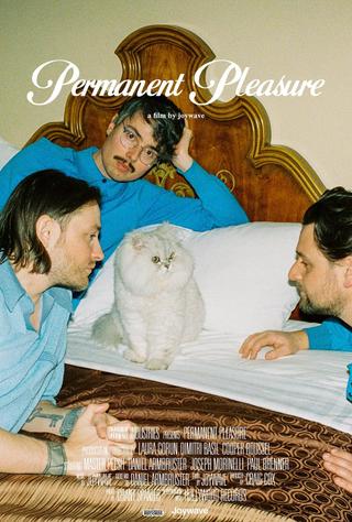 Permanent Pleasure poster