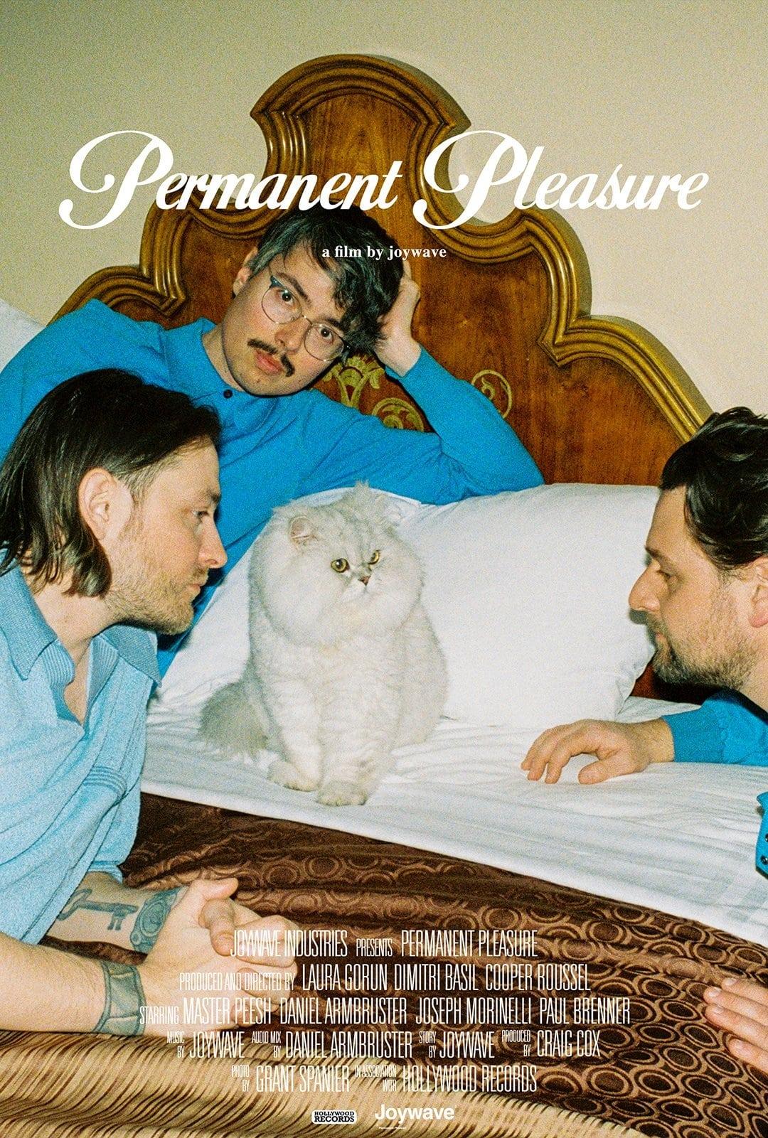 Permanent Pleasure poster