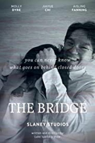 The Bridge poster